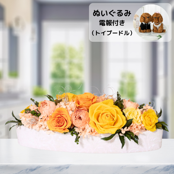 ̤(ȥסɥ)ȥץꥶ֥ɥե ꥢʥ