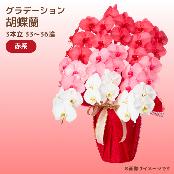 ǡĳ ַ 3Ω 3336ذʾ(ΤƤȭ)