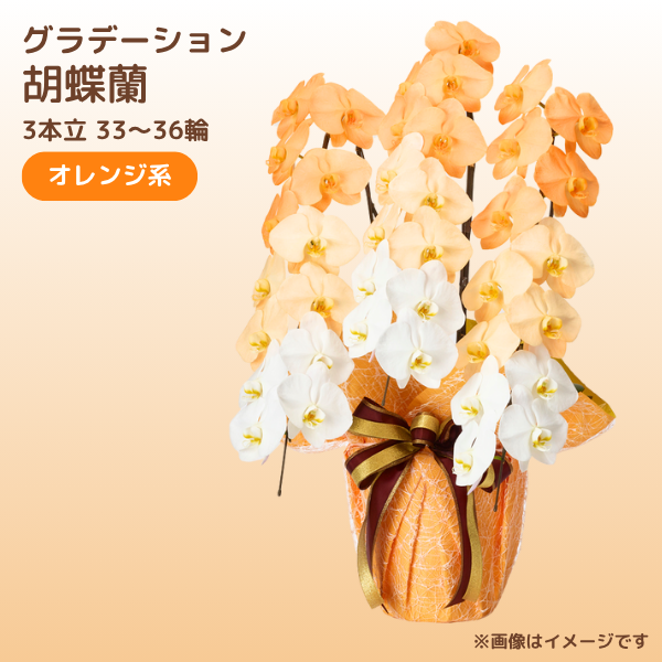 ǡĳ 󥸷 3Ω 3336ذʾ(ΤƤȭ)