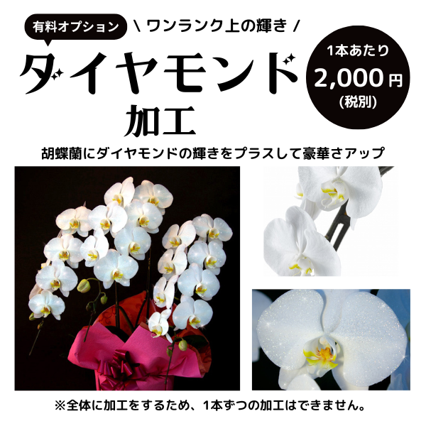 ǡĳ 󥸷 3Ω 3336ذʾ(ΤƤȭ) 9