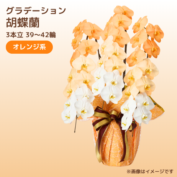 ǡĳ 󥸷 3Ω 3942ذʾ(ΤƤȭ)