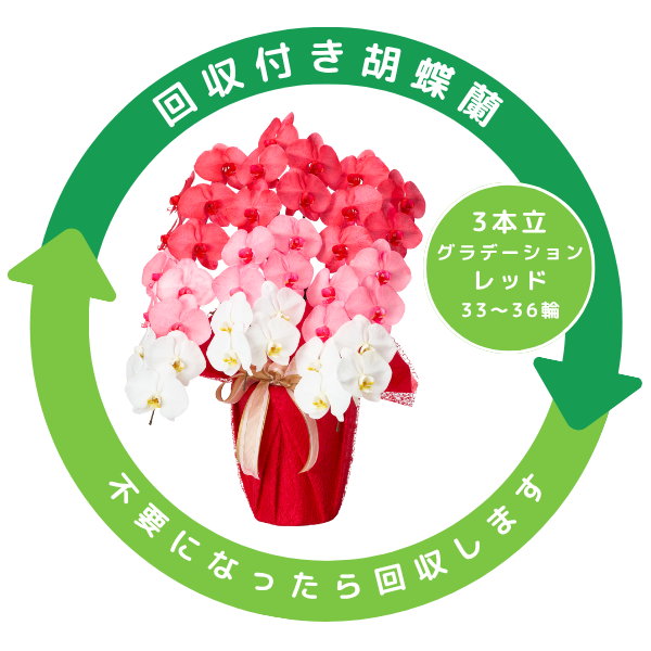 դǡĳ ַ 3Ω 3336ذʾ