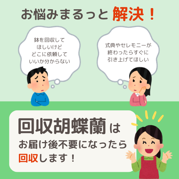 դǡĳ ַ 3Ω 3942ذʾ 2