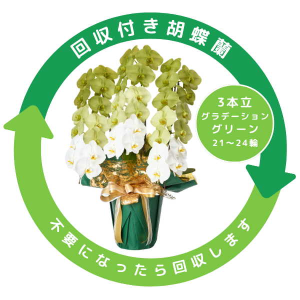 դǡĳ ꡼ 3Ω 2124ذʾ