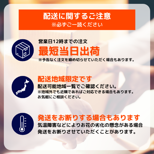 դǡĳ ꡼ 3Ω 2730ذʾ 14