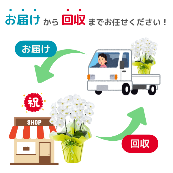 դǡĳ ꡼ 3Ω 2730ذʾ 3