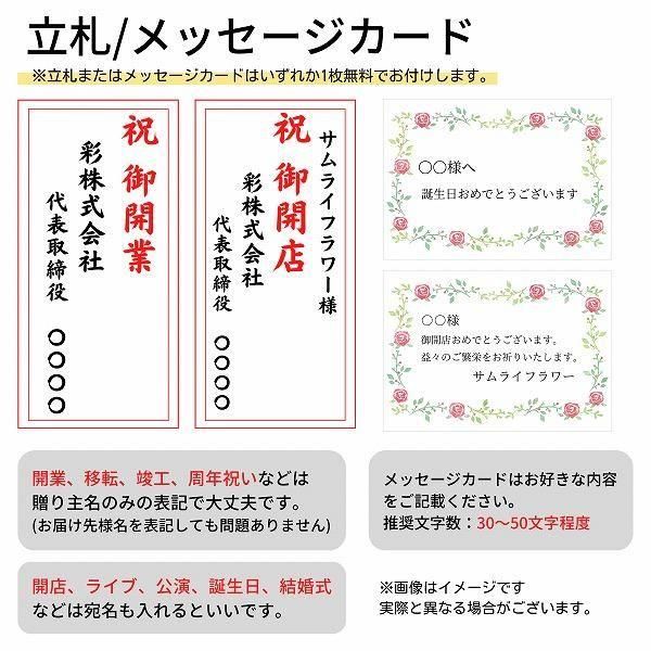 դǡĳ ꡼ 3Ω 2730ذʾ 5