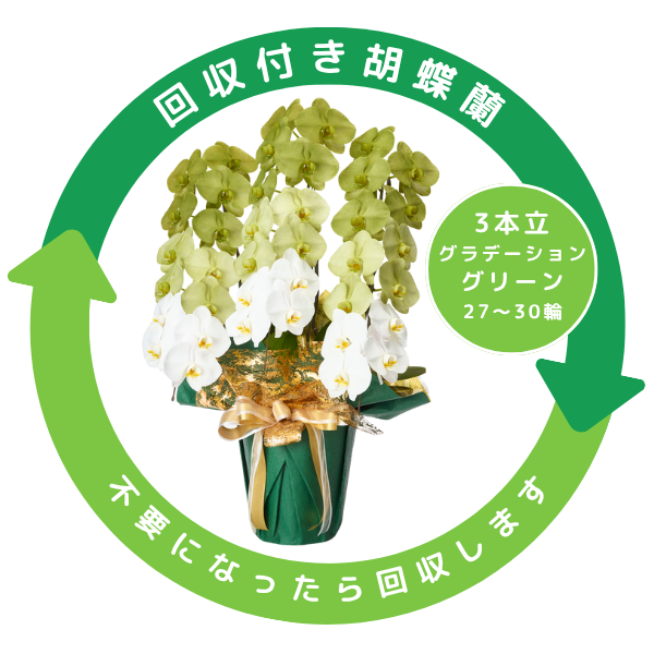 դǡĳ ꡼ 3Ω 2730ذʾ