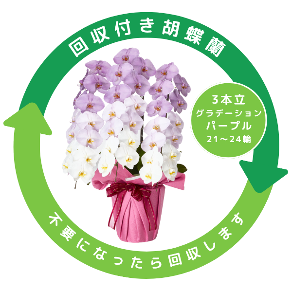 դǡĳ ѡץ 3Ω 2124ذʾ