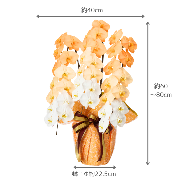 դǡĳ 󥸷 3Ω 2124ذʾ 4