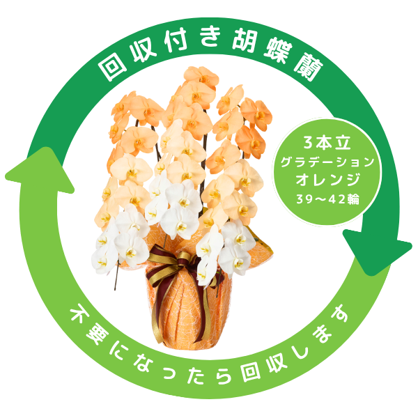 դǡĳ 󥸷 3Ω 3942ذʾ