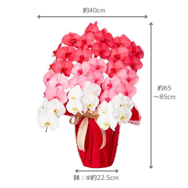 å ǡĳ ַ 3Ω 2730ذʾ(ΤƤȭ) 4