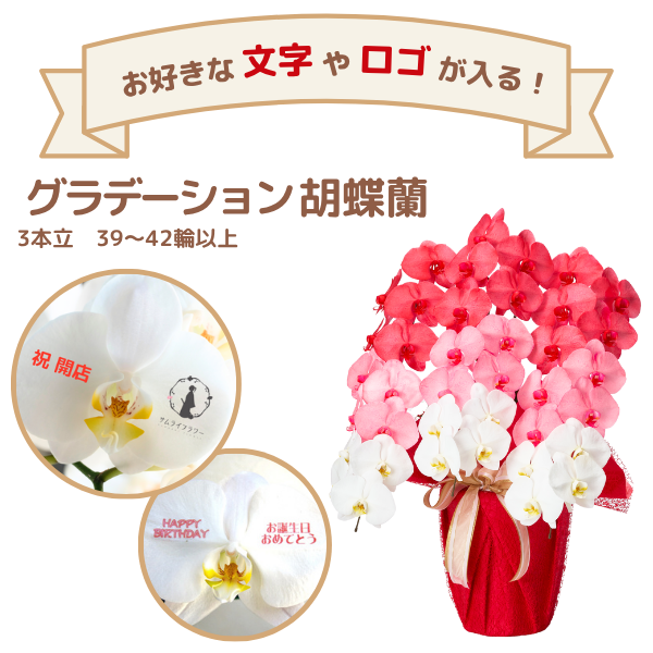 å ǡĳ ַ 3Ω 3942ذʾ(ΤƤȭ)