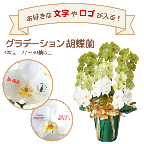 å ǡĳ ꡼ 3Ω 2730ذʾ(ΤƤȭ)