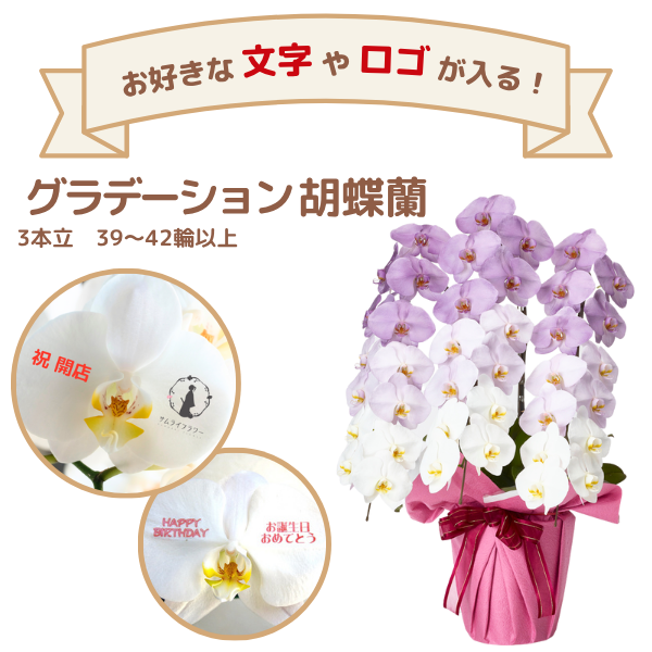 å ǡĳ ѡץ 3Ω 3942ذʾ(ΤƤȭ)