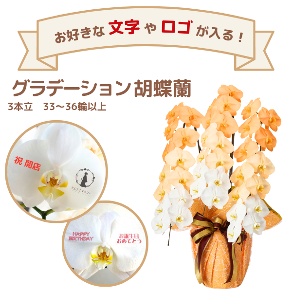 å ǡĳ 󥸷 3Ω 3336ذʾ(ΤƤȭ)