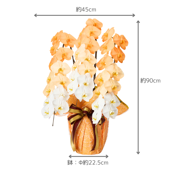 å ǡĳ 󥸷 3Ω 3942ذʾ(ΤƤȭ) 4