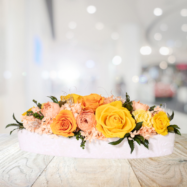 ǰʥ֥롼ˤȥץꥶ֥ɥե ꥢʥ 2