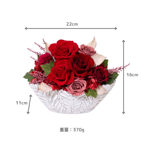 (ߥ)ȥץꥶ֥ɥե ͥ롼ʥåɡˡڲ٤ޤ 4