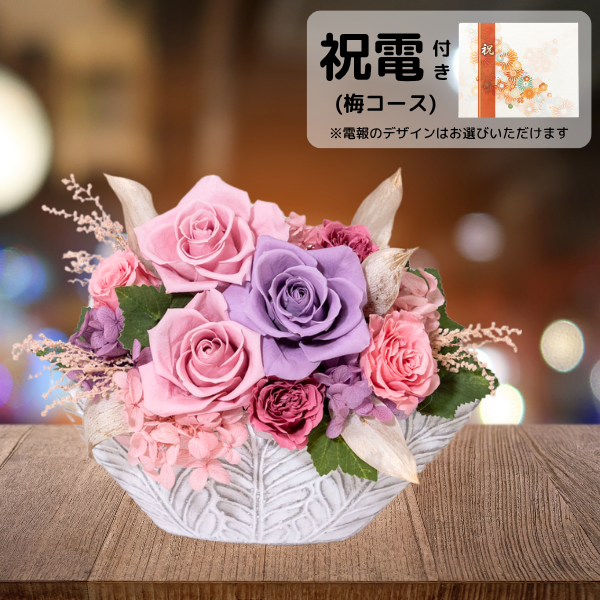 (ߥ)ȥץꥶ֥ɥե ͥ롼ʥԥ󥯡ˡڲ٤ޤ