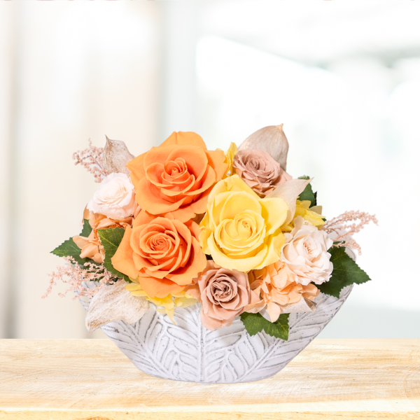 (ݥ)ȥץꥶ֥ɥե ͥ롼ʥˡڲ٤ޤ 2