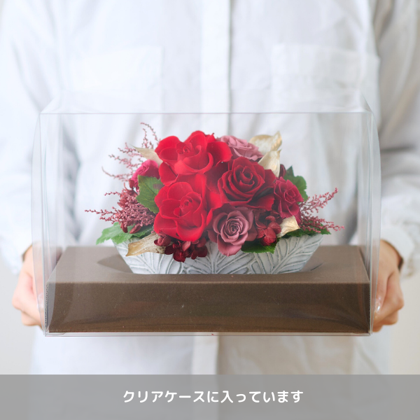 (ݥ)ȥץꥶ֥ɥե ͥ롼ʥˡڲ٤ޤ 3