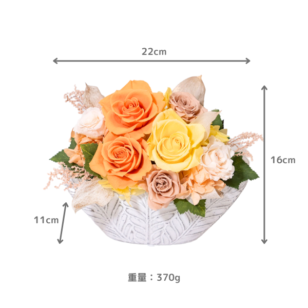 (ݥ)ȥץꥶ֥ɥե ͥ롼ʥˡڲ٤ޤ 4