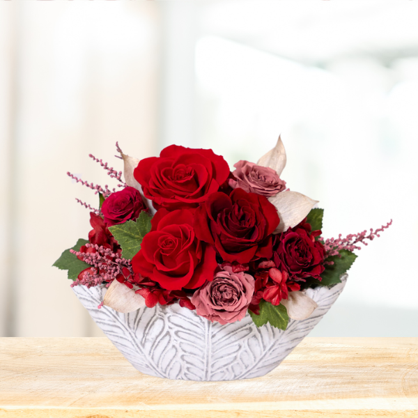 (ͧ»桦ؿ)ȥץꥶ֥ɥե ͥ롼ʥåɡˡڲ٤ޤ 2