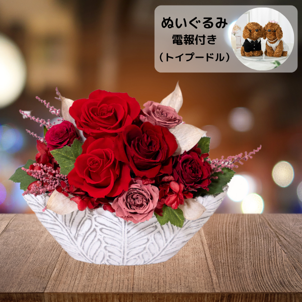 ̤(ȥסɥ)ȥץꥶ֥ɥե ͥ롼ʥåɡ