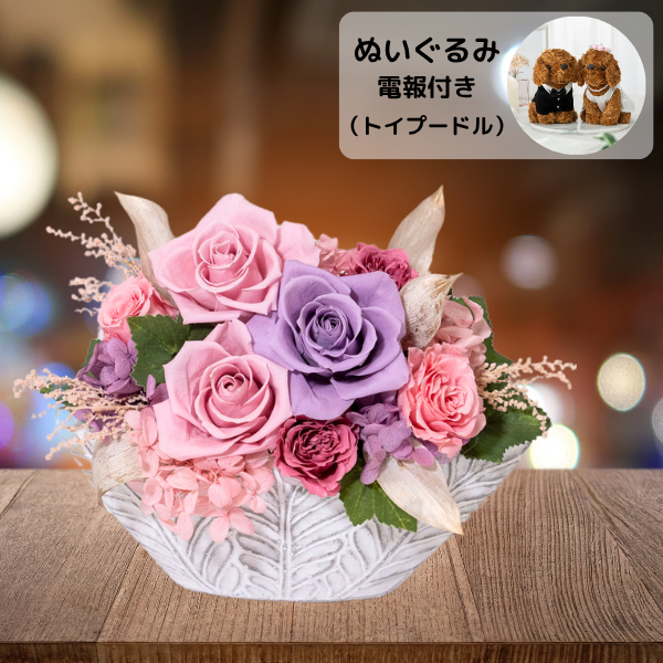 ̤(ȥסɥ)ȥץꥶ֥ɥե ͥ롼ʥԥ󥯡