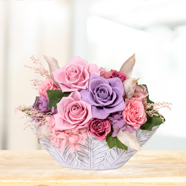 ̤(ȥסɥ)ȥץꥶ֥ɥե ͥ롼ʥԥ󥯡 2