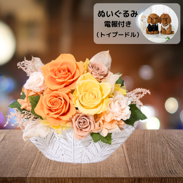 ̤(ȥסɥ)ȥץꥶ֥ɥե ͥ롼ʥ