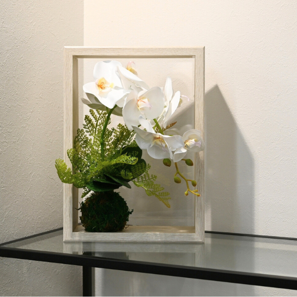 ¤֡۸ĳ ե ӥ塼ɳݤ