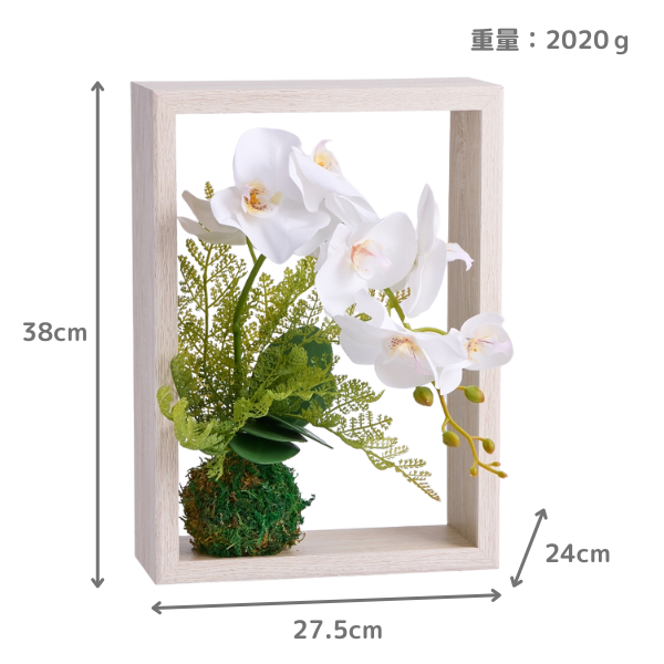 ¤֡۸ĳ ե ӥ塼ɳݤ 3