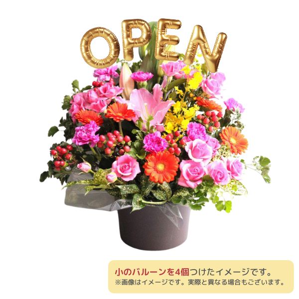 Х롼ե󥸥 S Ǥϰ