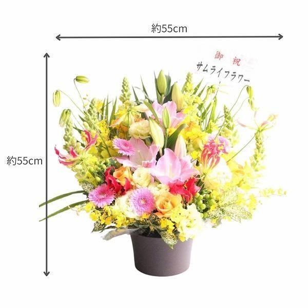 Х롼ե󥸥 M Ǥϰ 2