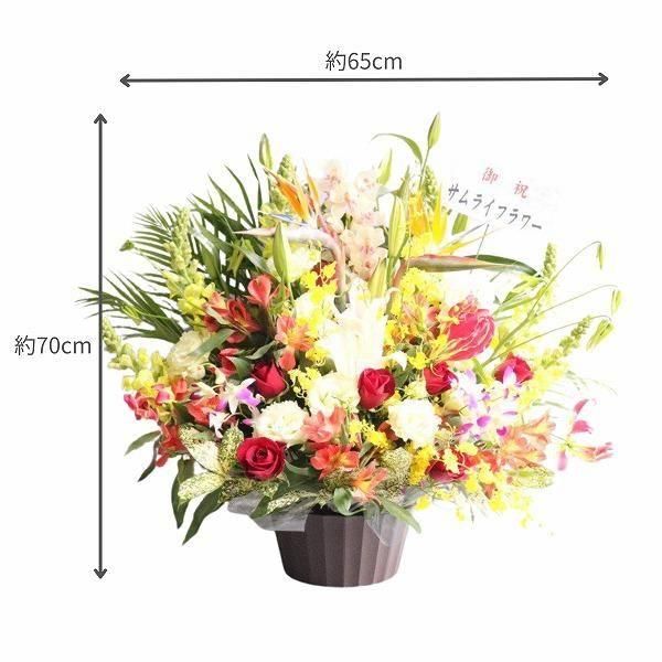 Х롼ե󥸥 L Ǥϰ 4