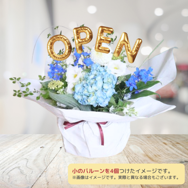 Х롼ե󥸥 S 򡦥֥롼ϡϰ