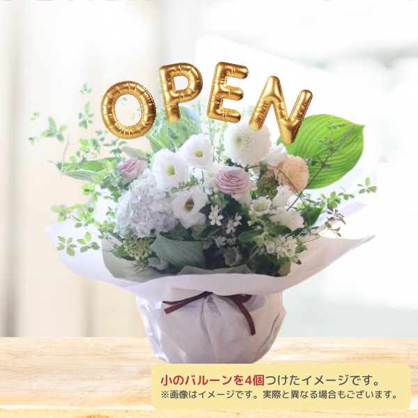 Х롼ե󥸥 M 򡦥꡼ϡϰ