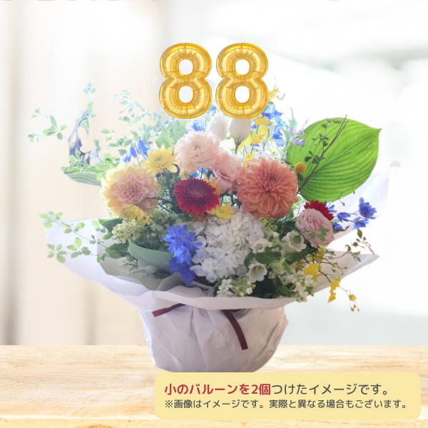 Х롼ե󥸥 M ߥåϰ