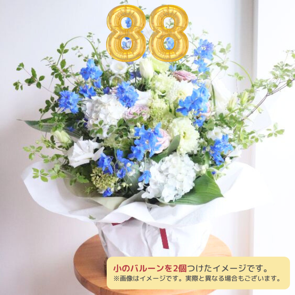 Х롼ե󥸥 L 򡦥֥롼ϡϰ