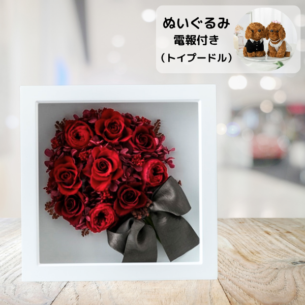 ̤(ȥסɥ)ȥץꥶ֥ɥե ֡(å)