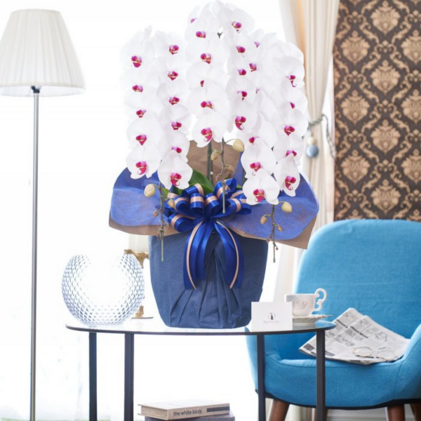 ĳ 3Ω å 35ذʾóŹȡǤˡͽˤ˺ŬԹļԡ¿͡
