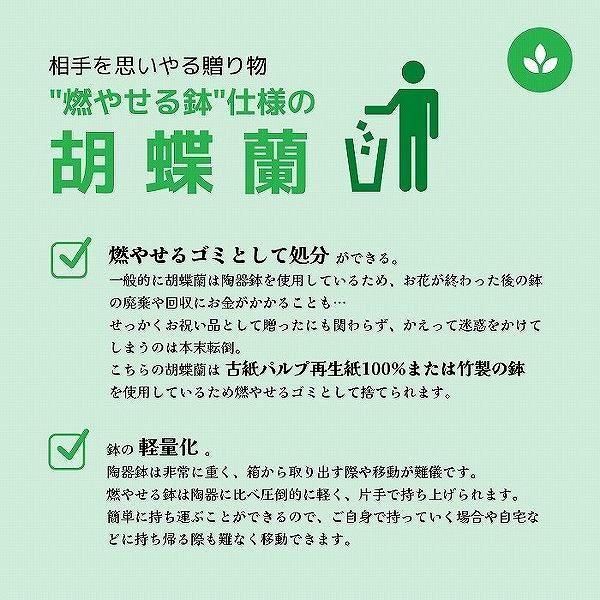 ĳ 3Ω ԥ 35ذʾóŹȡǤˡͽˤ˺ŬԹļԡ¿͡ 8