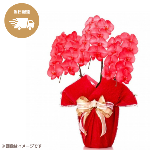 ã եĳ ֿ 3Ω 2730ذʾ墨Ĥܤߤޤϰ