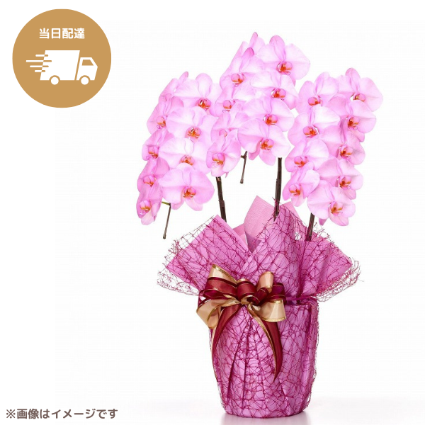 ã եĳ ԥ 3Ω 2730ذʾ墨Ĥܤߤޤϰ