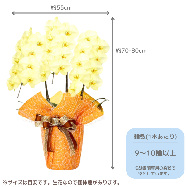 ã եĳ  3Ω 2730ذʾ墨Ĥܤߤޤϰ 2