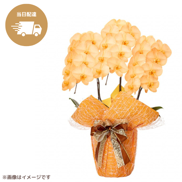 ã եĳ  3Ω 2730ذʾ墨Ĥܤߤޤϰ