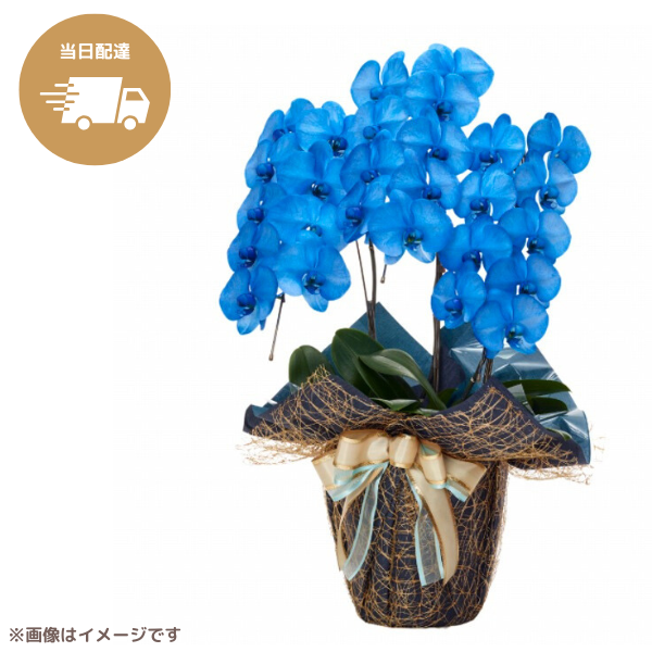 ã եĳ Ŀ 3Ω 2730ذʾ墨Ĥܤߤޤϰ