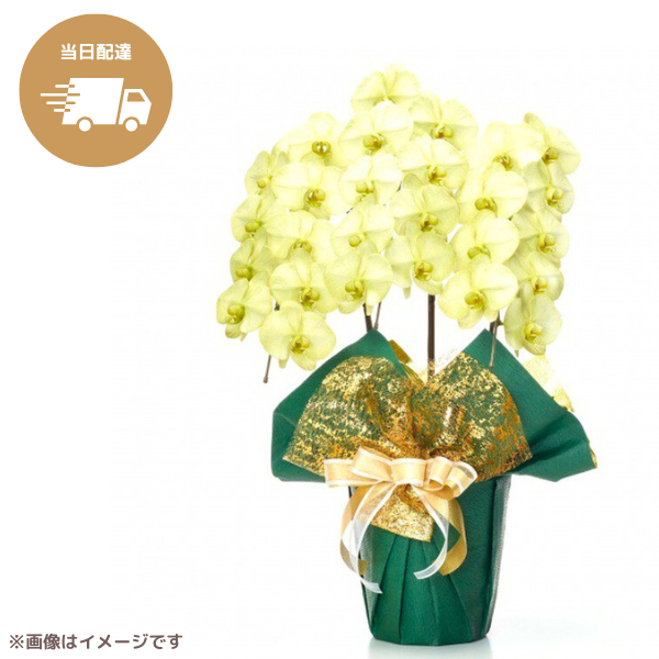 ã եĳ ꡼ 3Ω 2730ذʾ墨Ĥܤߤޤϰ